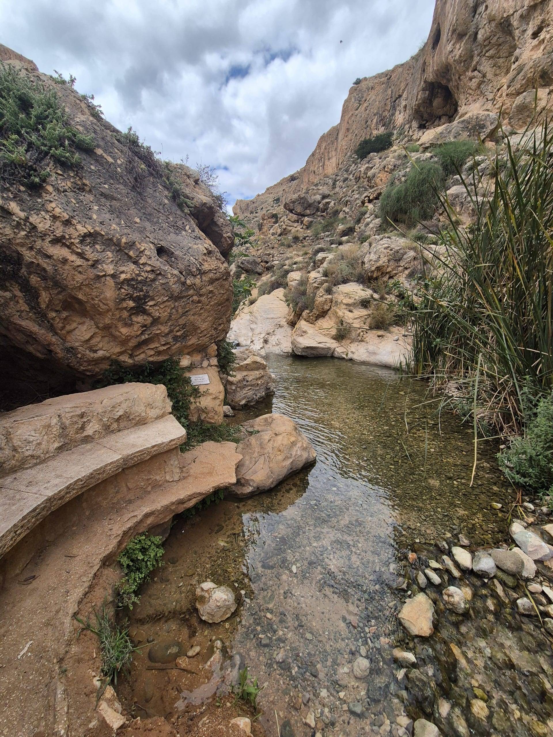 המעיינות הטובים ביותר בירושלים והסביבה