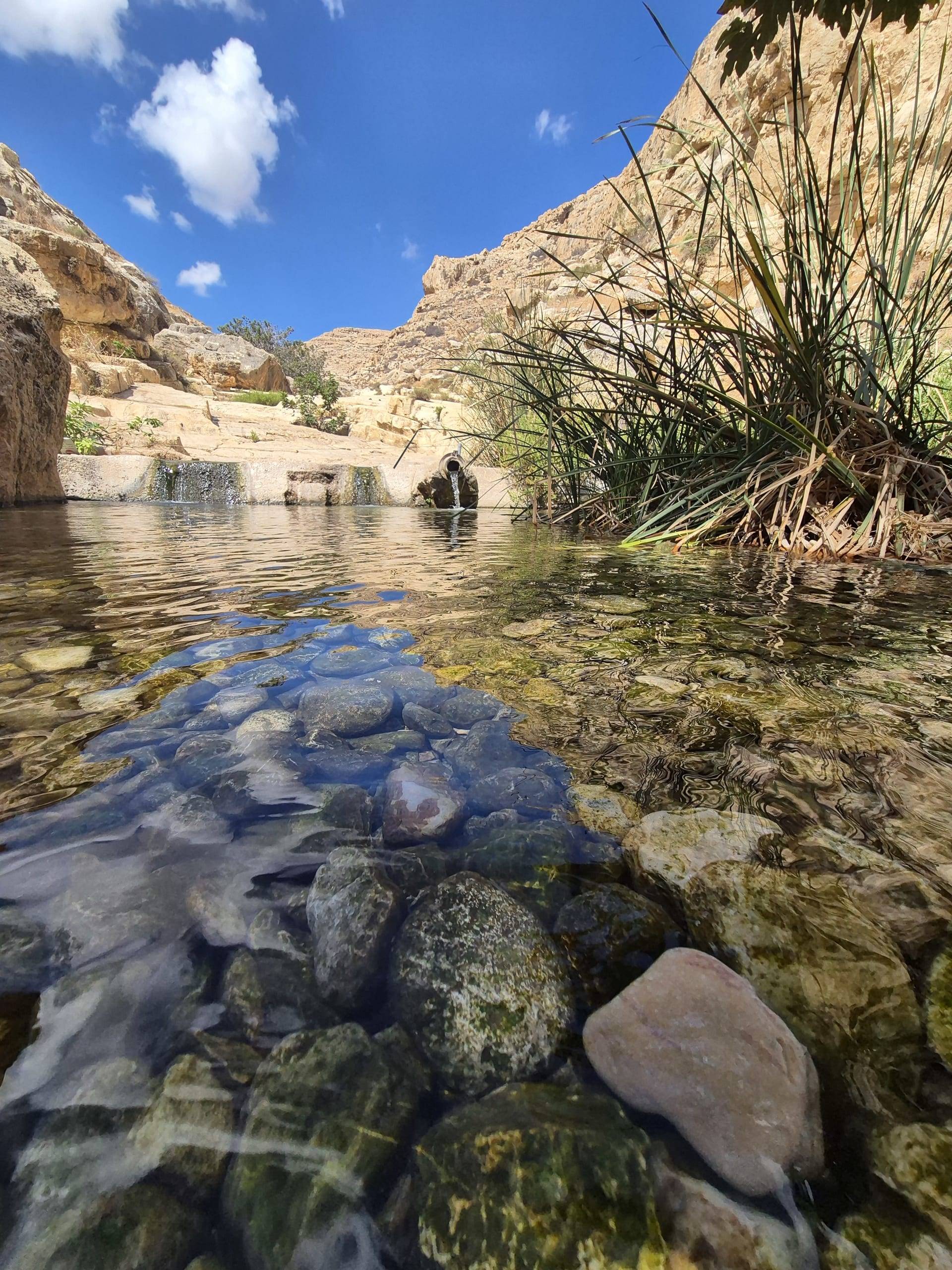 תמונת הסבר נוספת למאמר