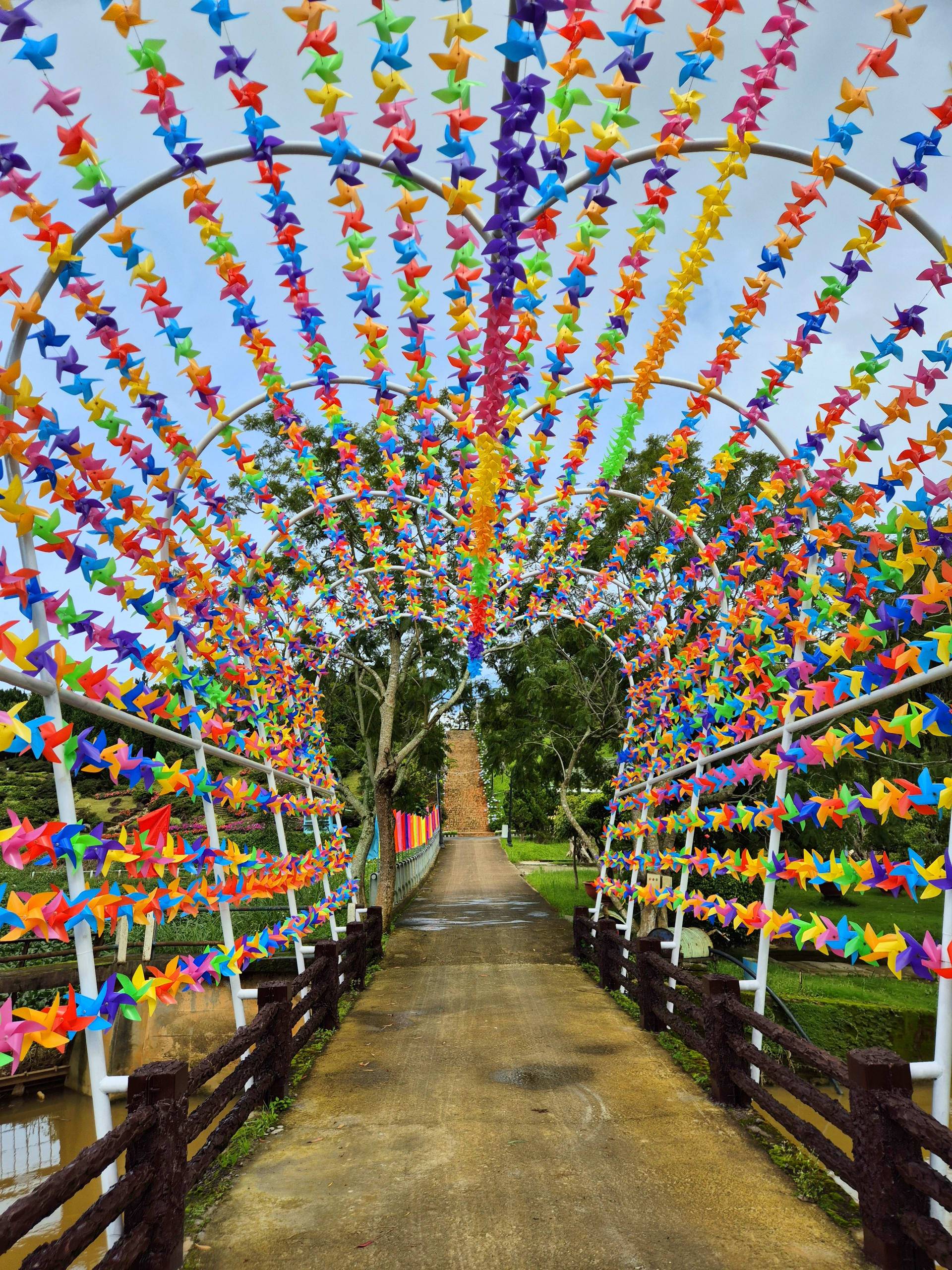 דלאת - לזוגות עם אינסטגרם 