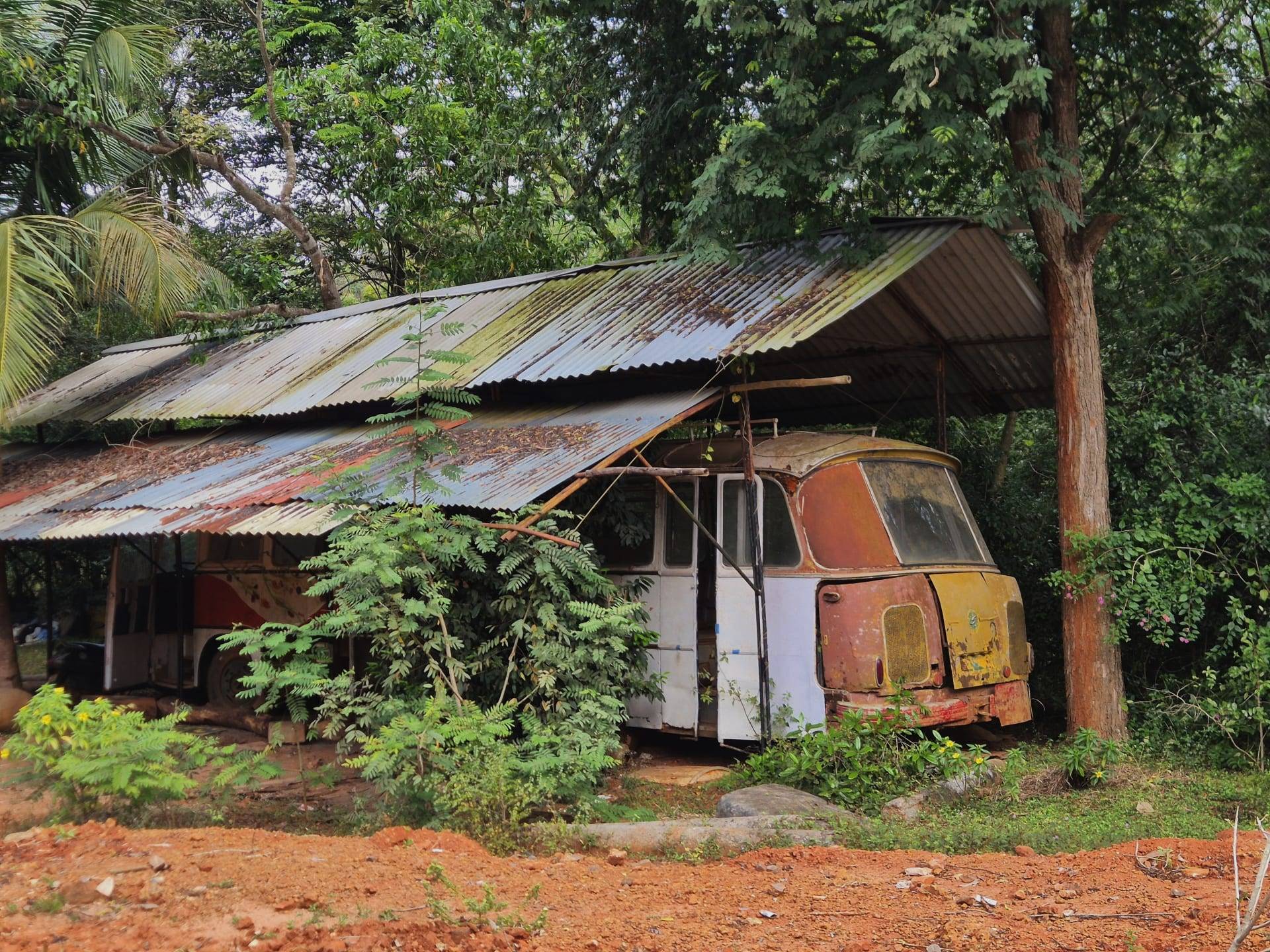 ציורי באורוויל
