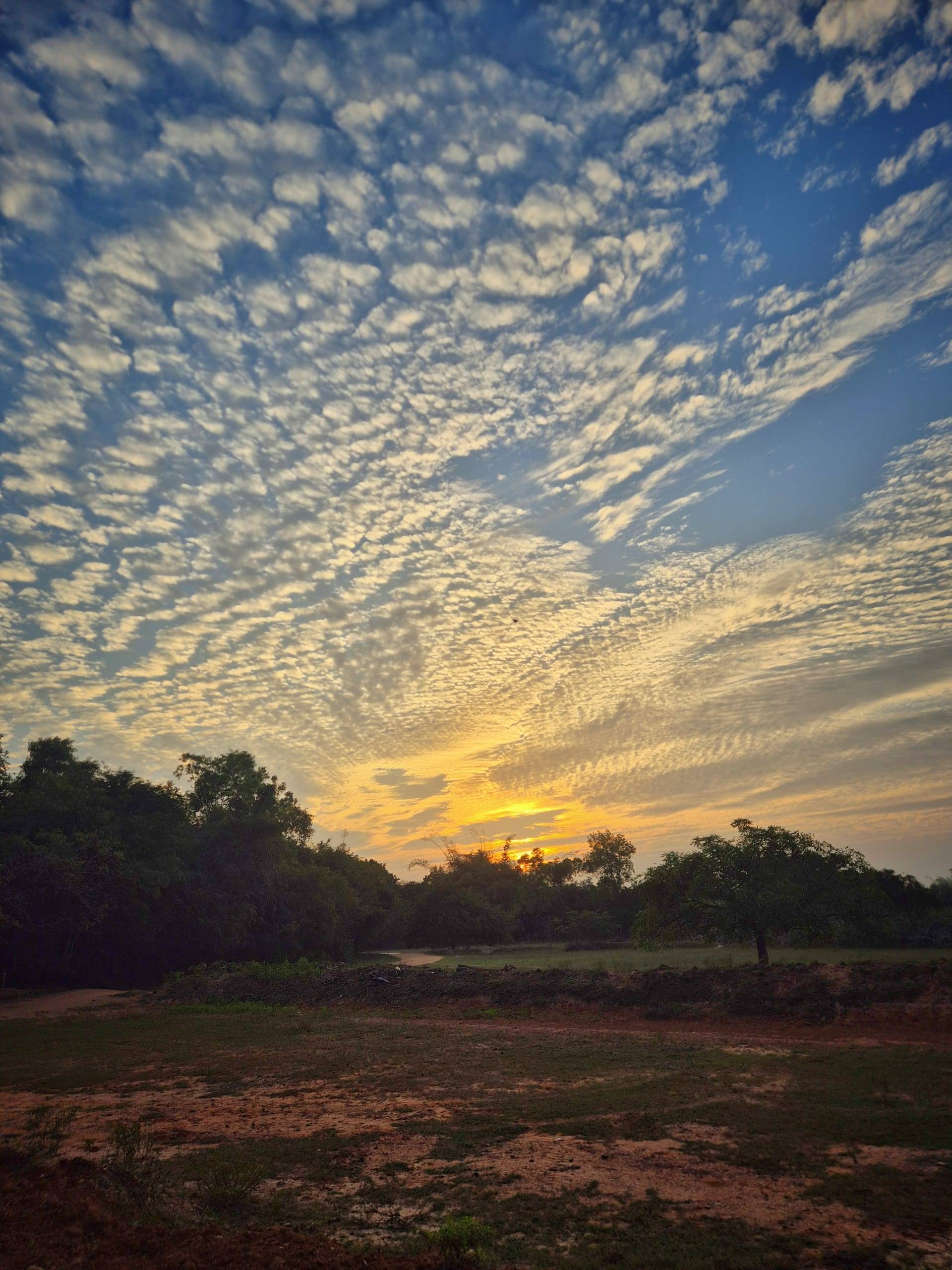 שקיעה באורוויל