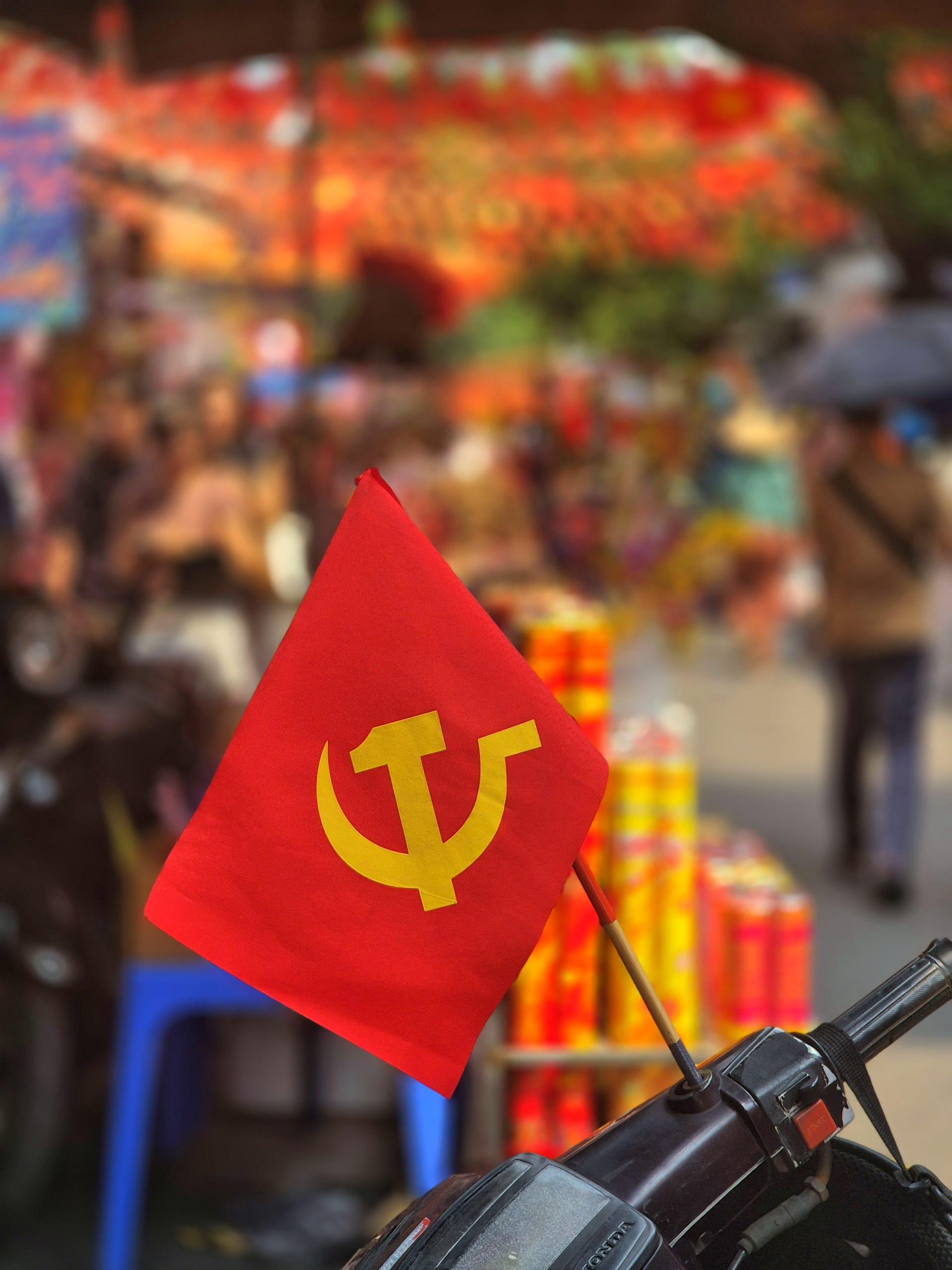 מלאוס לויאטנם (טאם קוק)