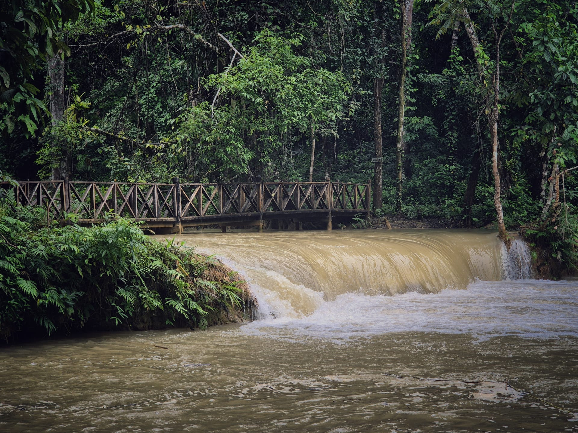 לואנג פרבאנג - Luang prabang - מדריך מקיף עם טיפים ומידע שימושי