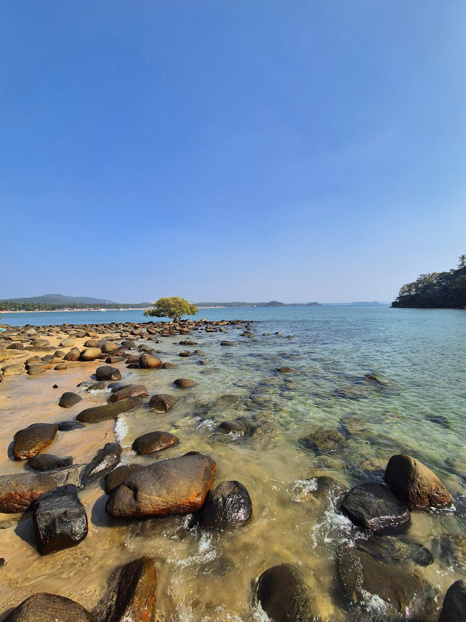 פאלולים גואה - מעבר מפושקר לדרום העליז - מדריך מקיף עם טיפים ומידע שימושי