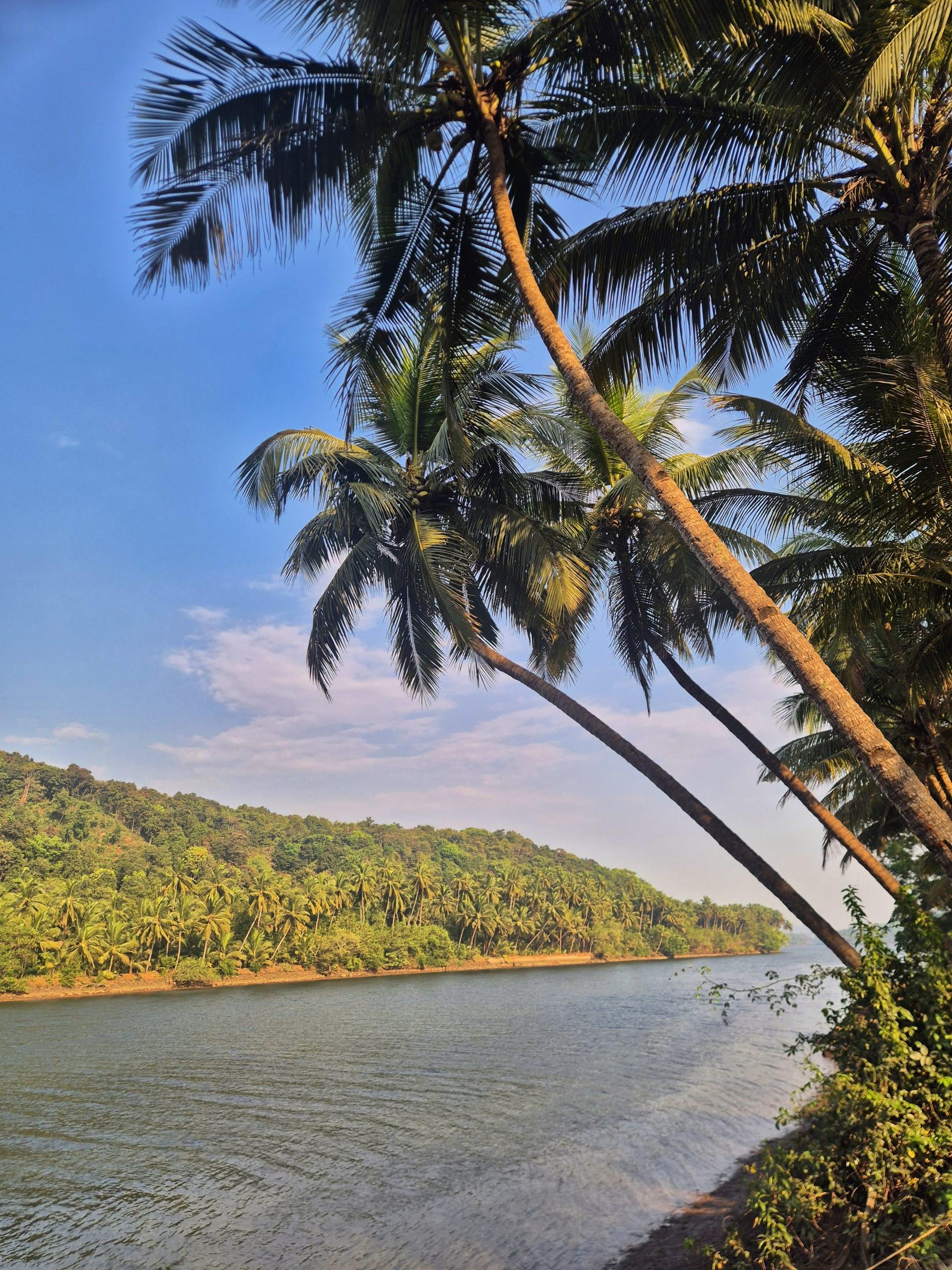 המדריך לארמבול גואה - טראנס והיפים